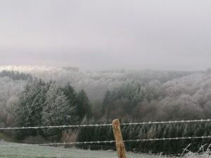 IMG_20221212_114605 - kopie