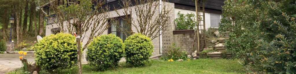 WhatsApp Image 2024-05-02 at 08.30.48