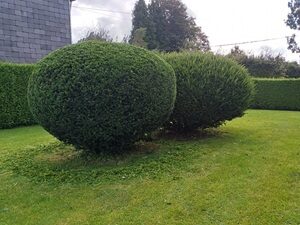 entretien du jardin bievre